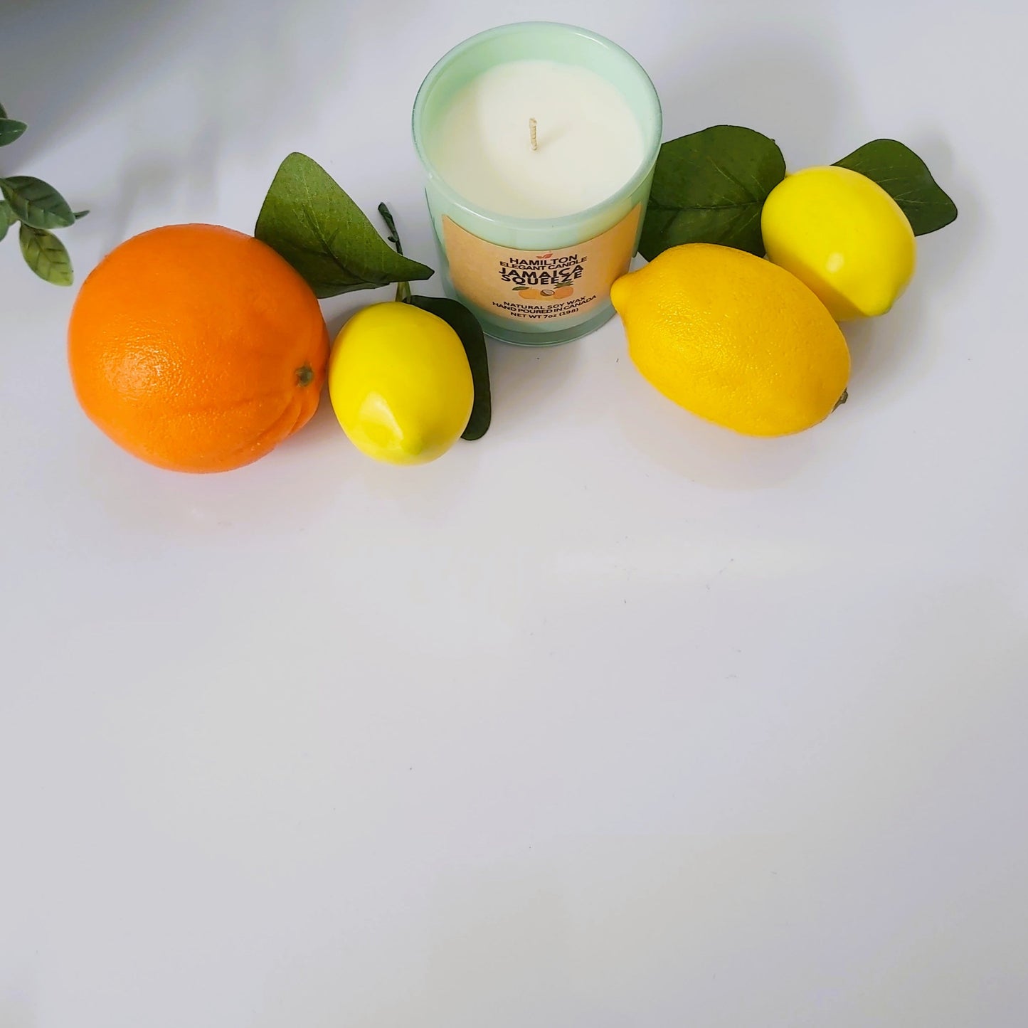 Jamaica Squeeze | 7oz Candle
