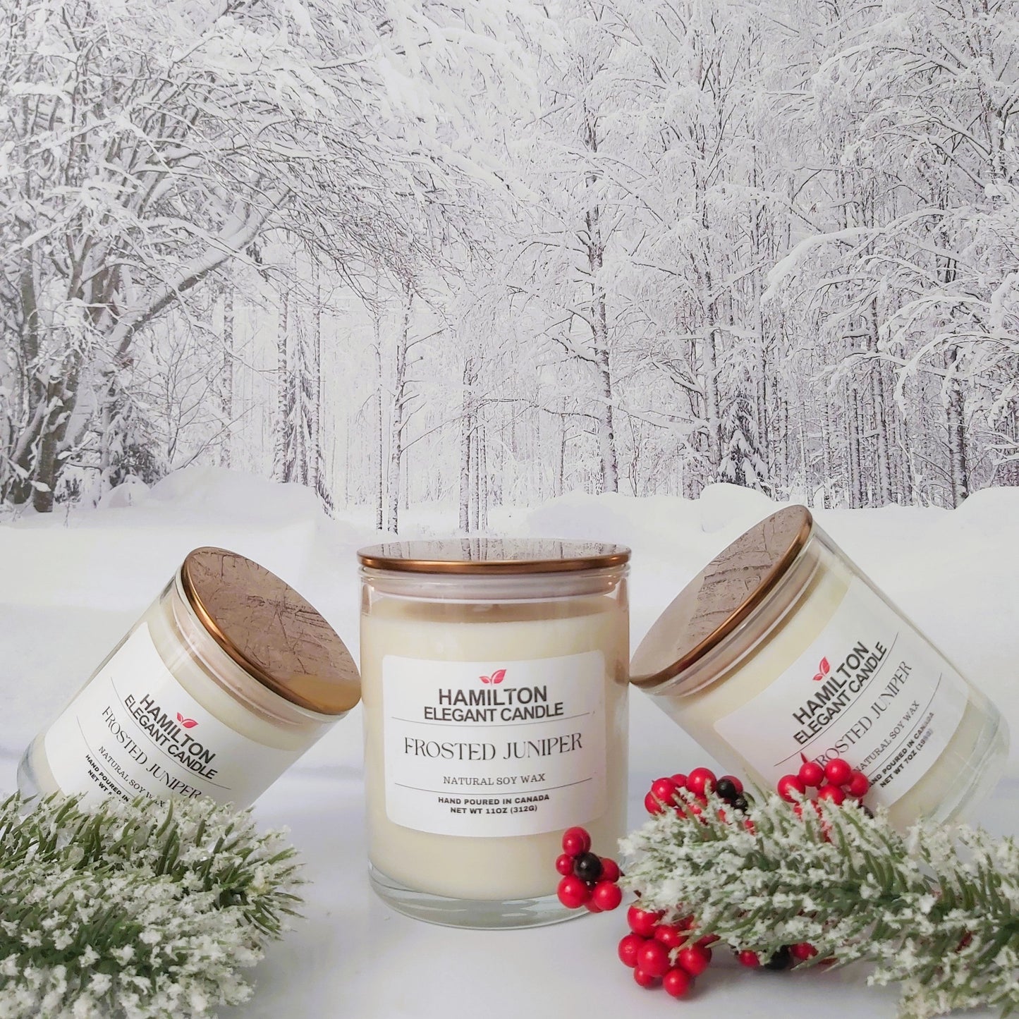Frosted Juniper|5oz Candle