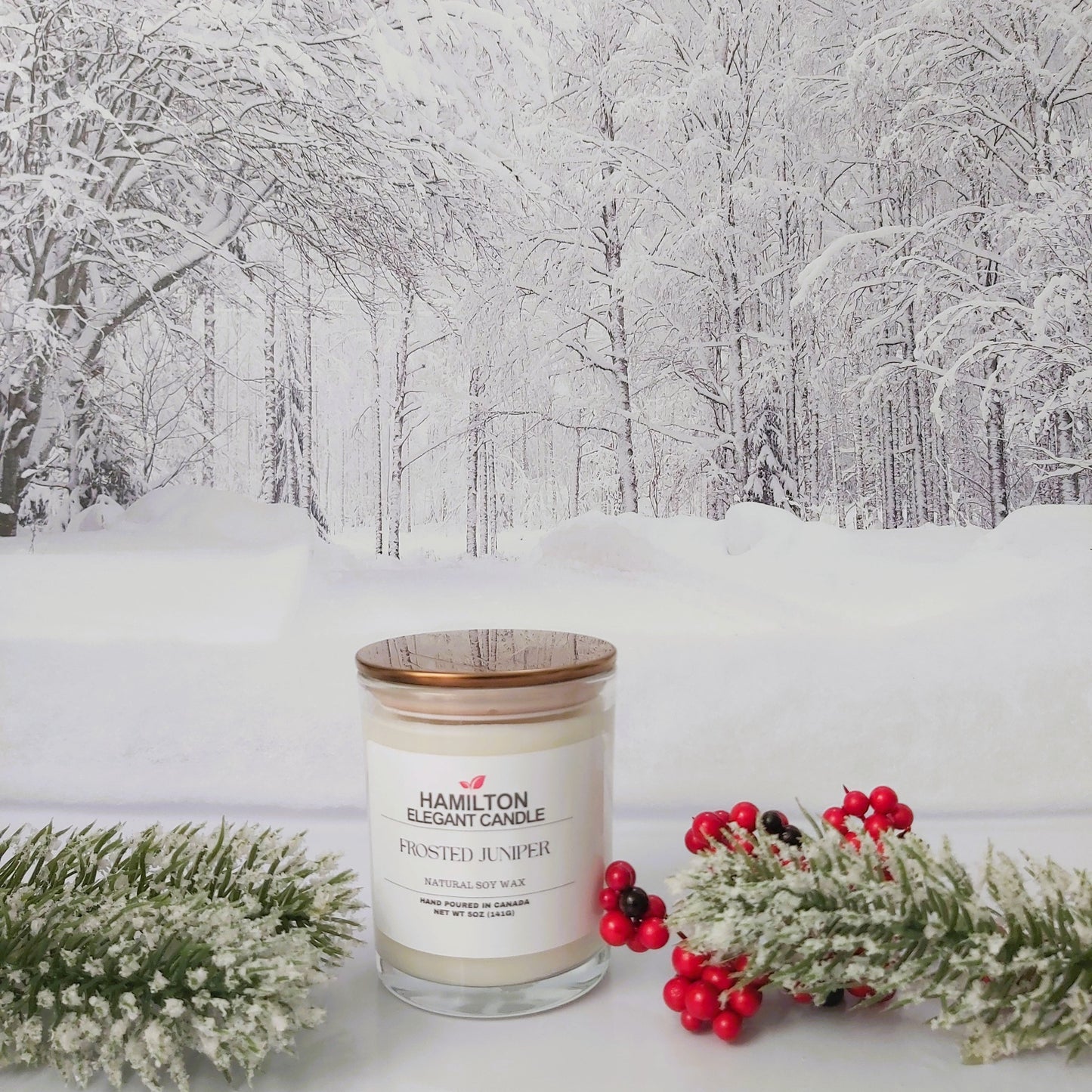 Frosted Juniper|5oz Candle
