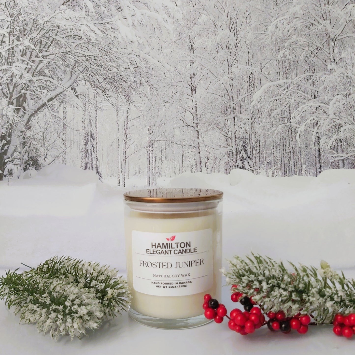 Frosted Juniper|11oz Candle