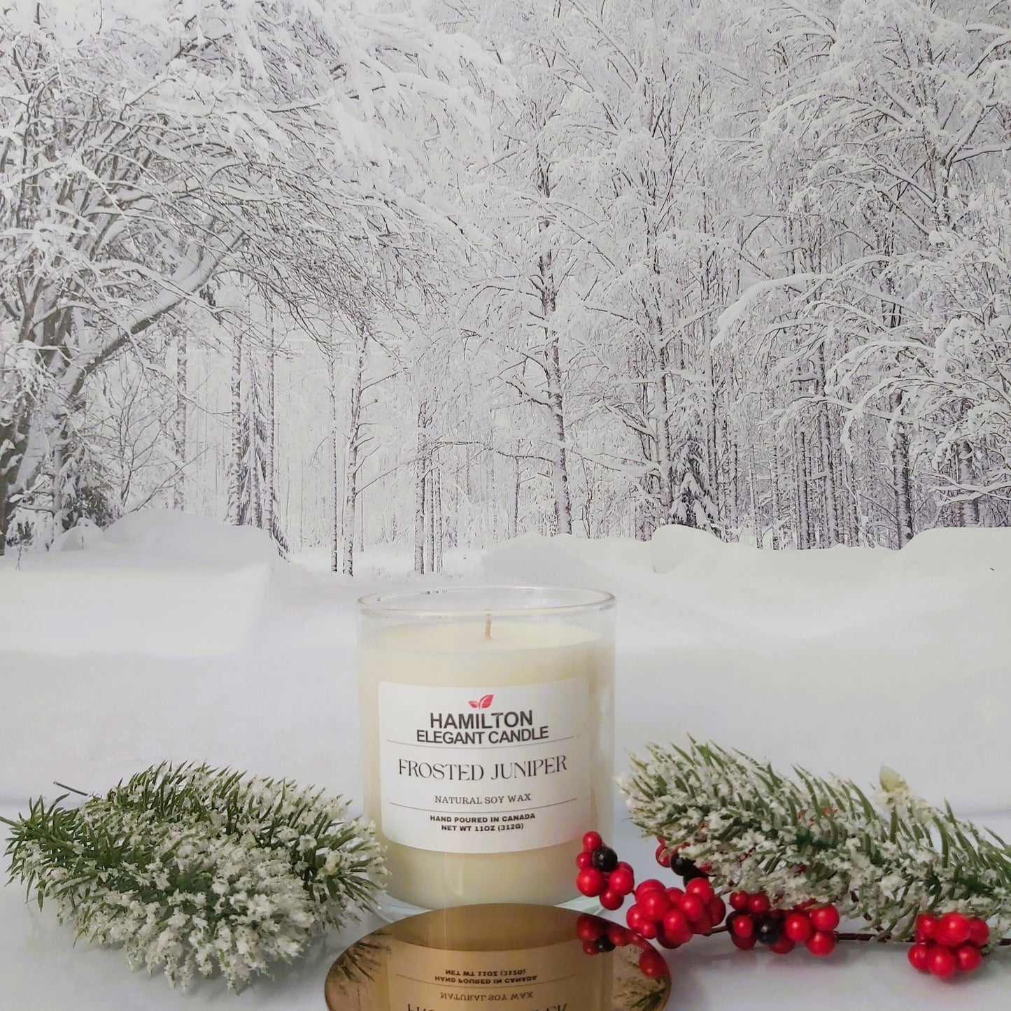 Frosted Juniper|11oz Candle