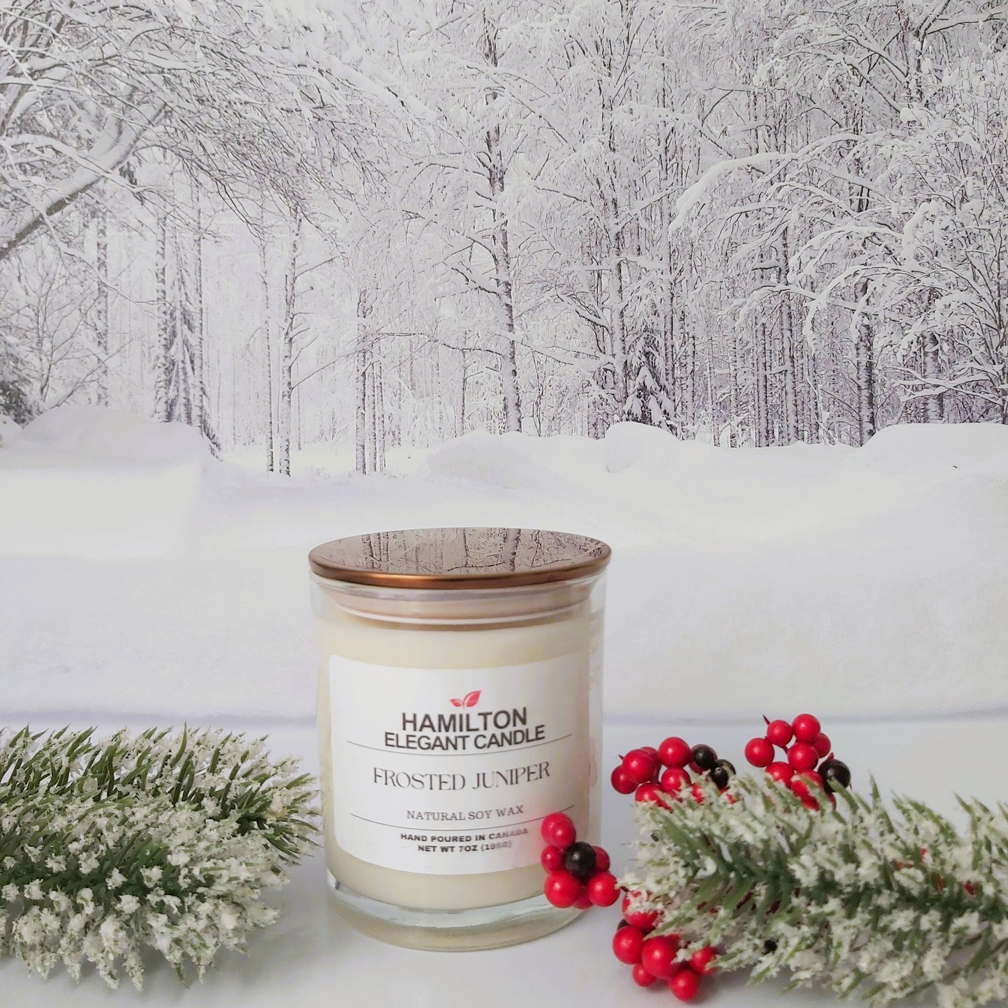 Candle with a snowy forest background
