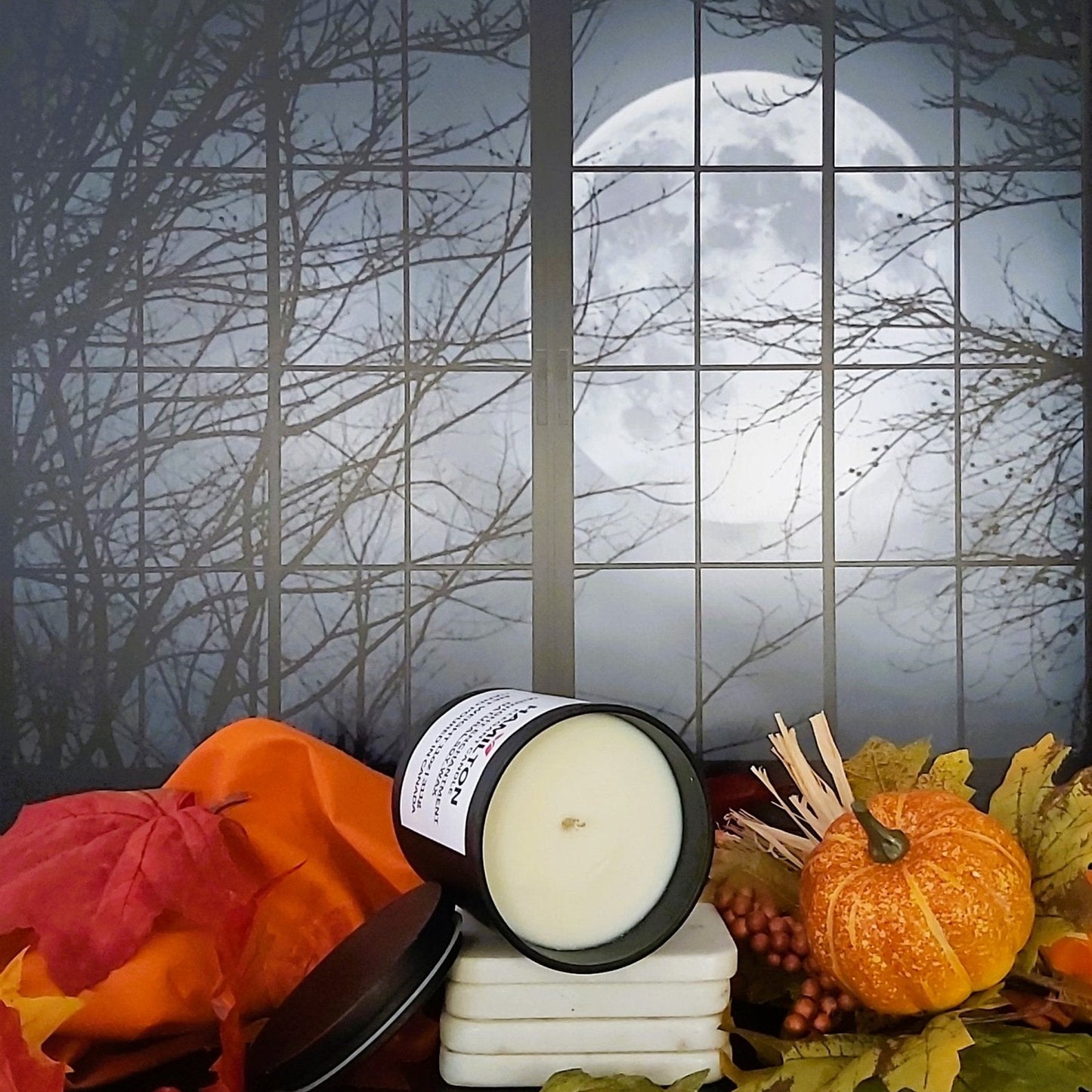 Midnight Enchantment | 11oz Soy Wax Candle