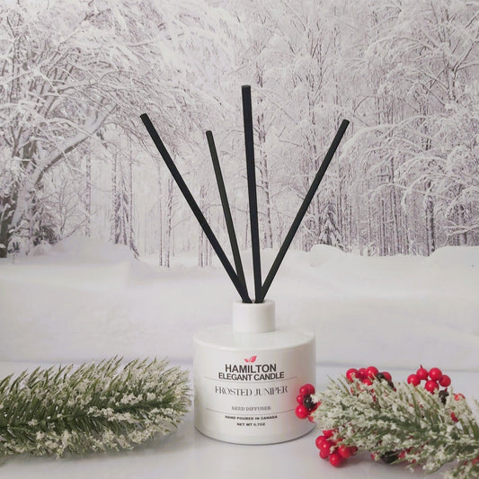 Diffuser with black sticks on a snowy landscape