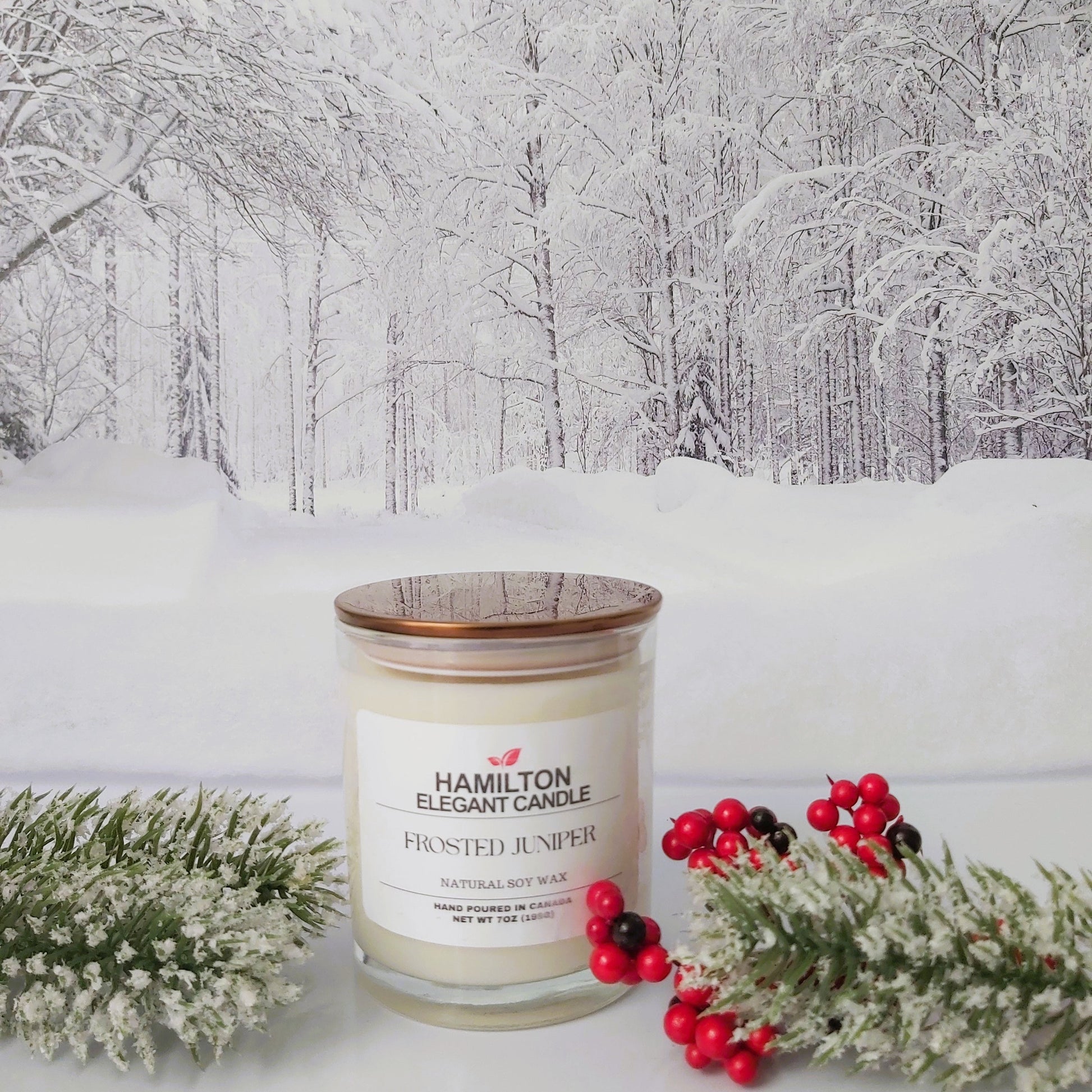 Candle with a snowy forest background