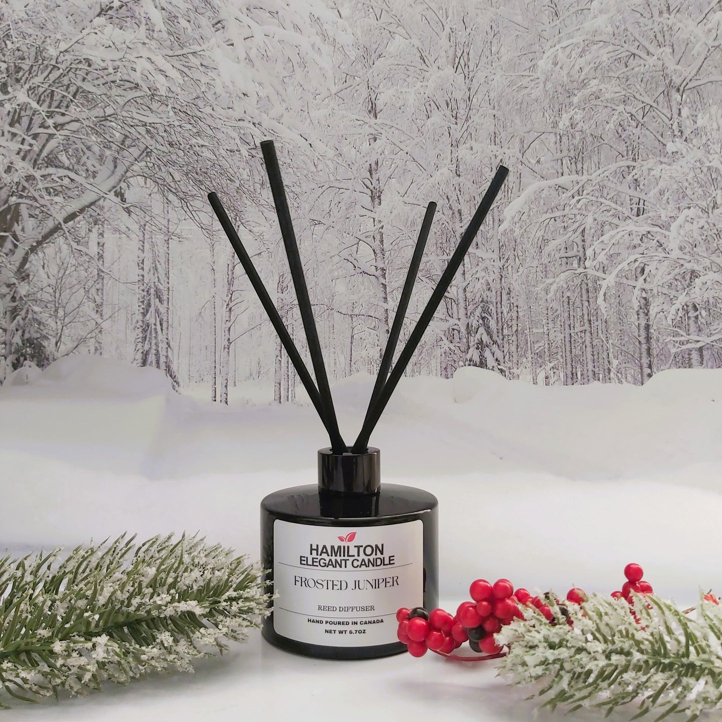 Hamilton Elegant Candle diffuser with decorative sticks on a snowy background
