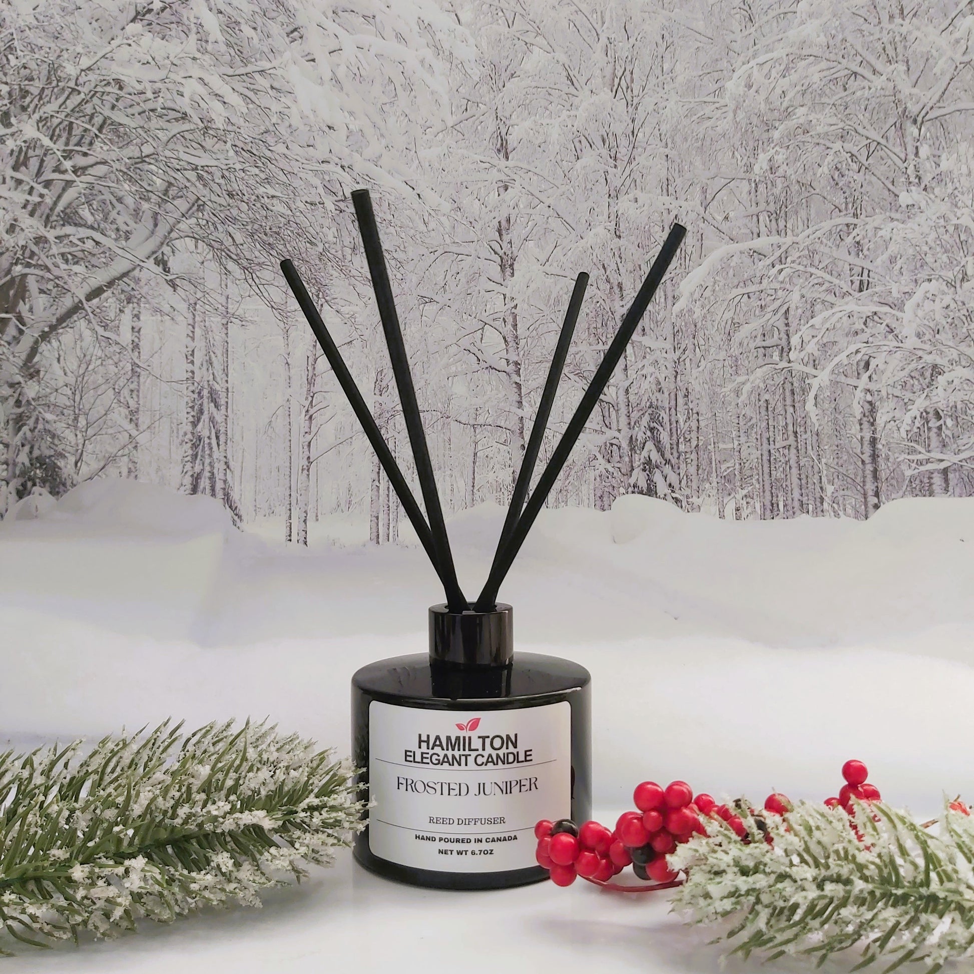 Hamilton Elegant Candle diffuser with decorative sticks on a snowy background